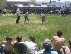 192 pehlivan çayıra indi